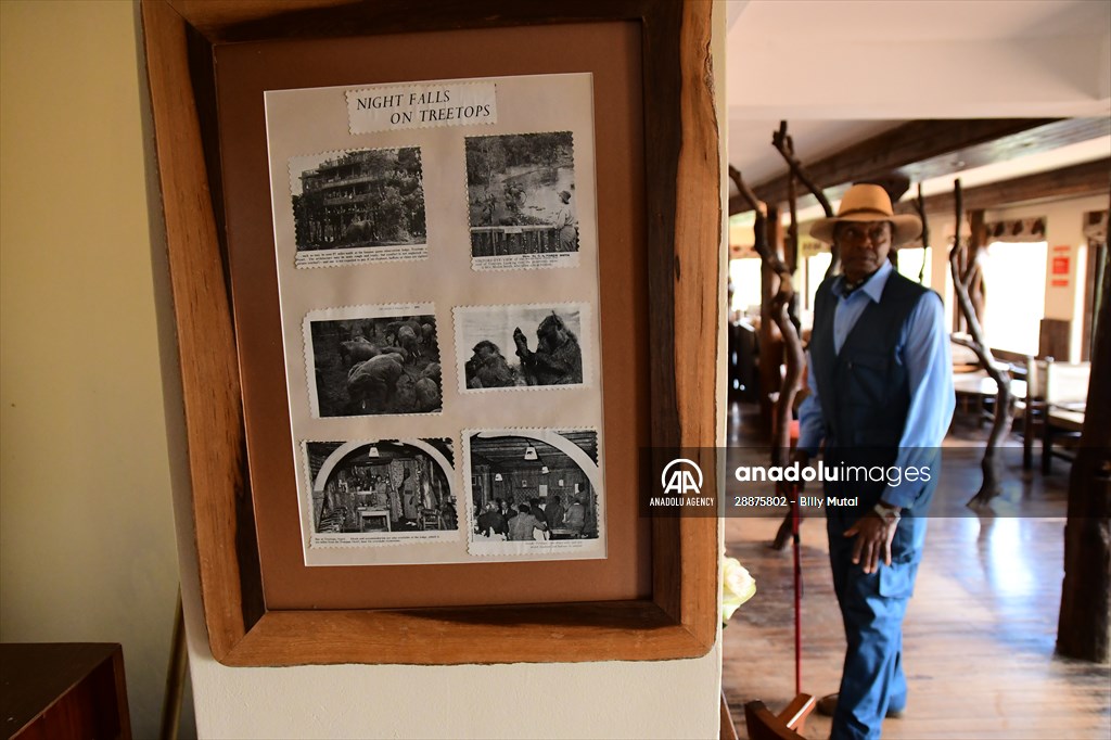 Treetops Hotel: Kenyan safari lodge where princess became a queen