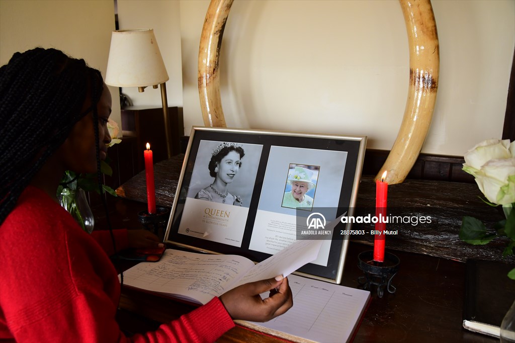 Treetops Hotel: Kenyan safari lodge where princess became a queen