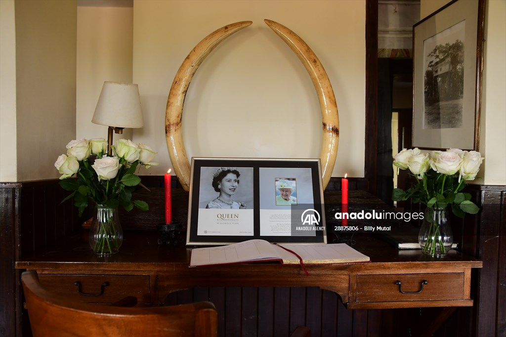 Treetops Hotel: Kenyan safari lodge where princess became a queen