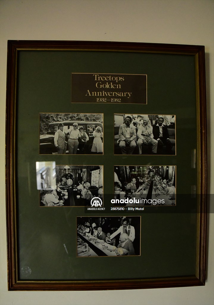 Treetops Hotel: Kenyan safari lodge where princess became a queen