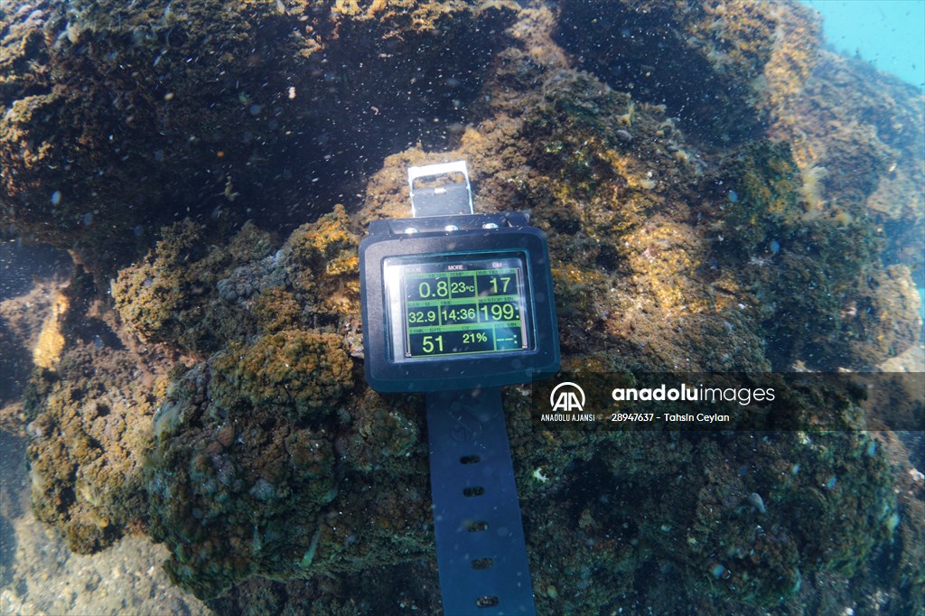 Van Gölü'nde 32,2 metre uzunluğunda mikrobiyalit görüntülendi