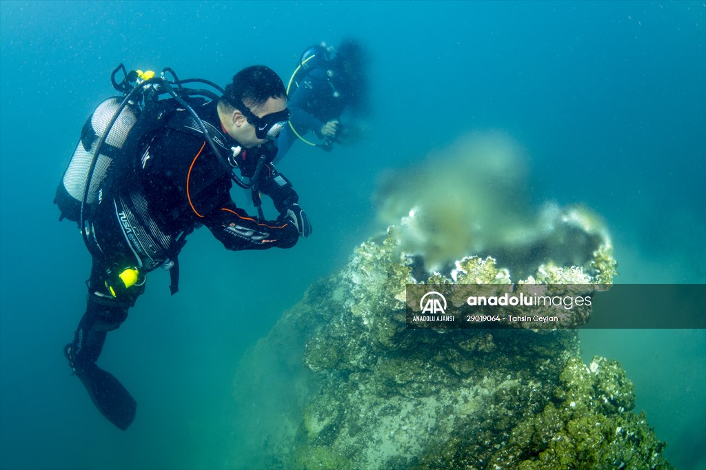 Sahil Güvenlik Komutanlığı timlerinin Van Gölü'nün derinliklerindeki tatbikatı görüntülendi