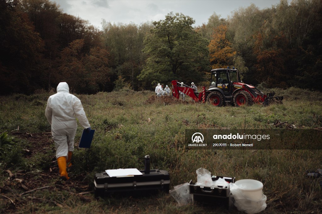 Search and removal of PCB contamination near Chemko Strazske chemical plant in Eastern Slovakia