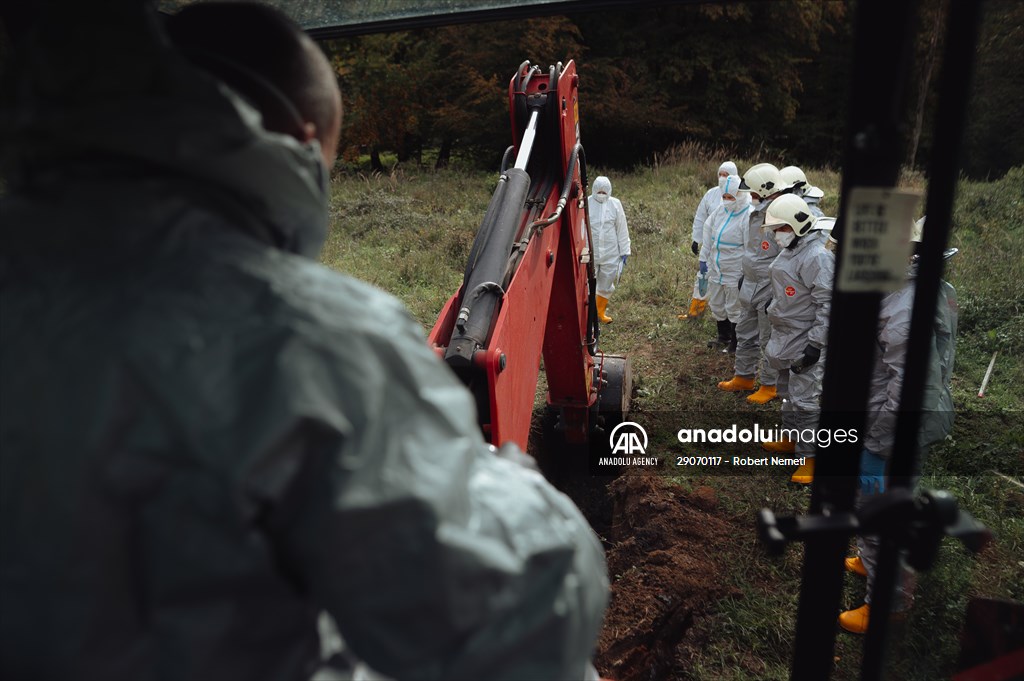 Search and removal of PCB contamination near Chemko Strazske chemical plant in Eastern Slovakia