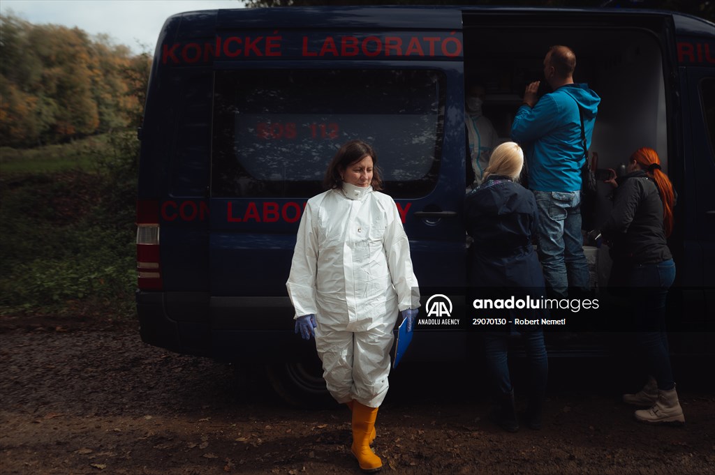 Search and removal of PCB contamination near Chemko Strazske chemical plant in Eastern Slovakia