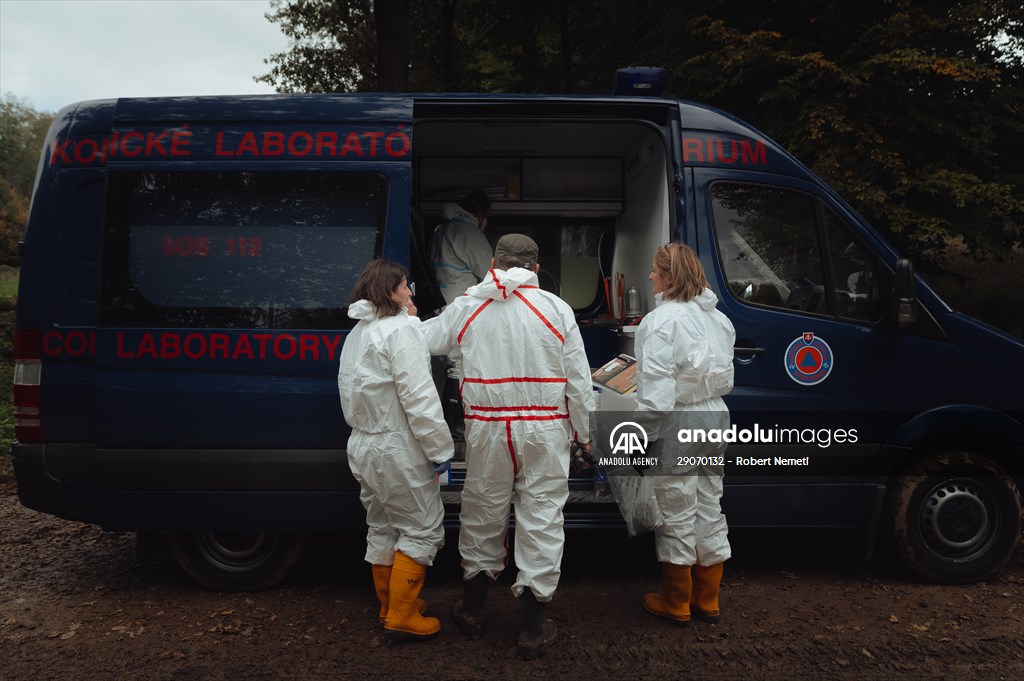 Search and removal of PCB contamination near Chemko Strazske chemical plant in Eastern Slovakia