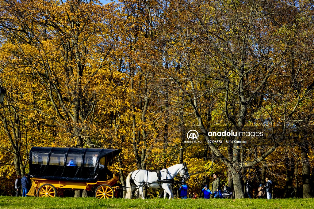 Autumn in Moscow