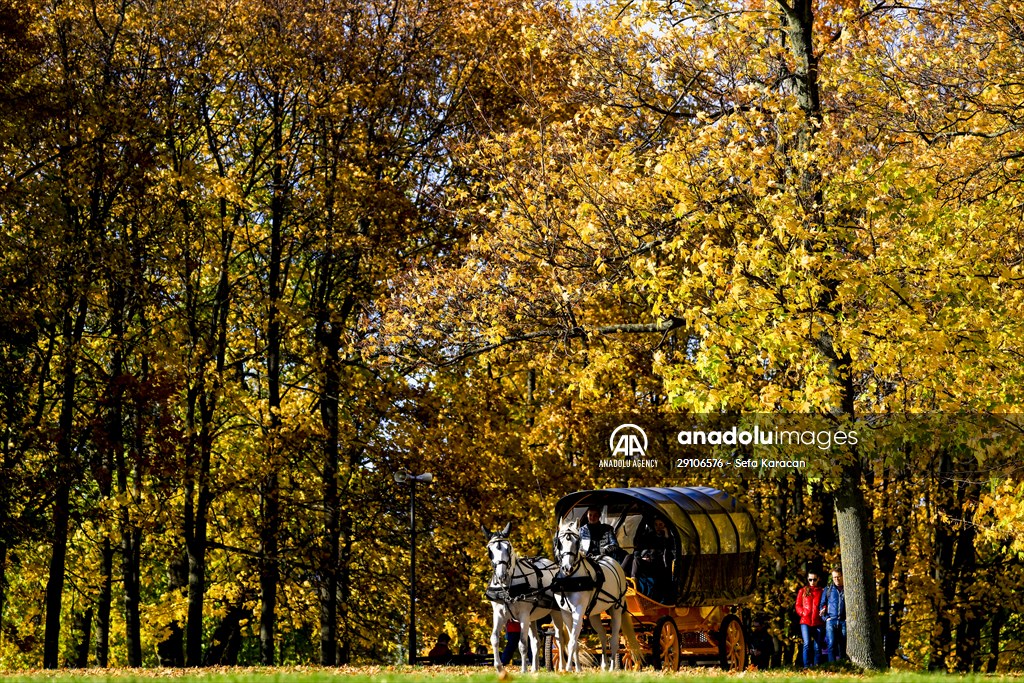 Autumn in Moscow