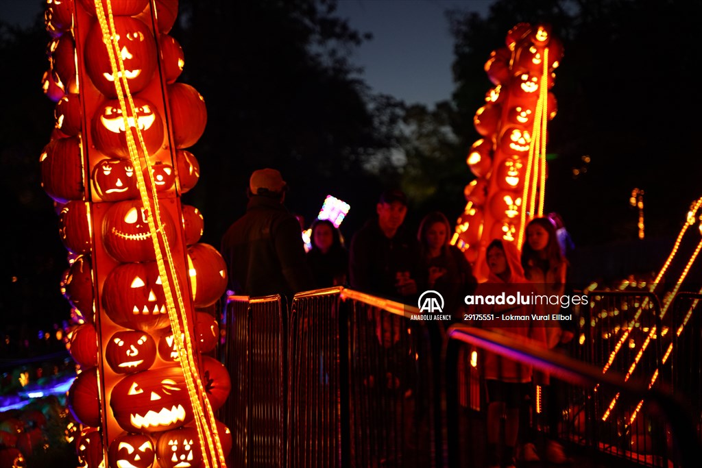 the-great-jack-o-lantern-blaze-in-new-york-anadolu-images
