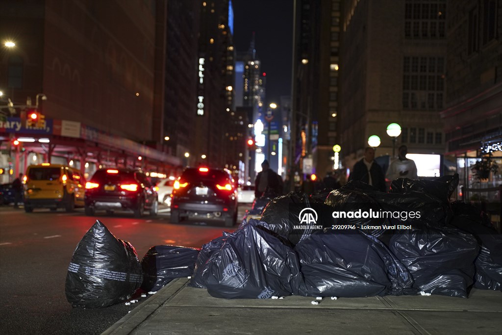 NYC Rat Sightings Higher Than Ever Before