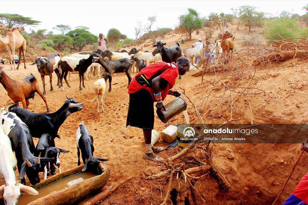 Drought worsens in Kenya amid insufficient rain