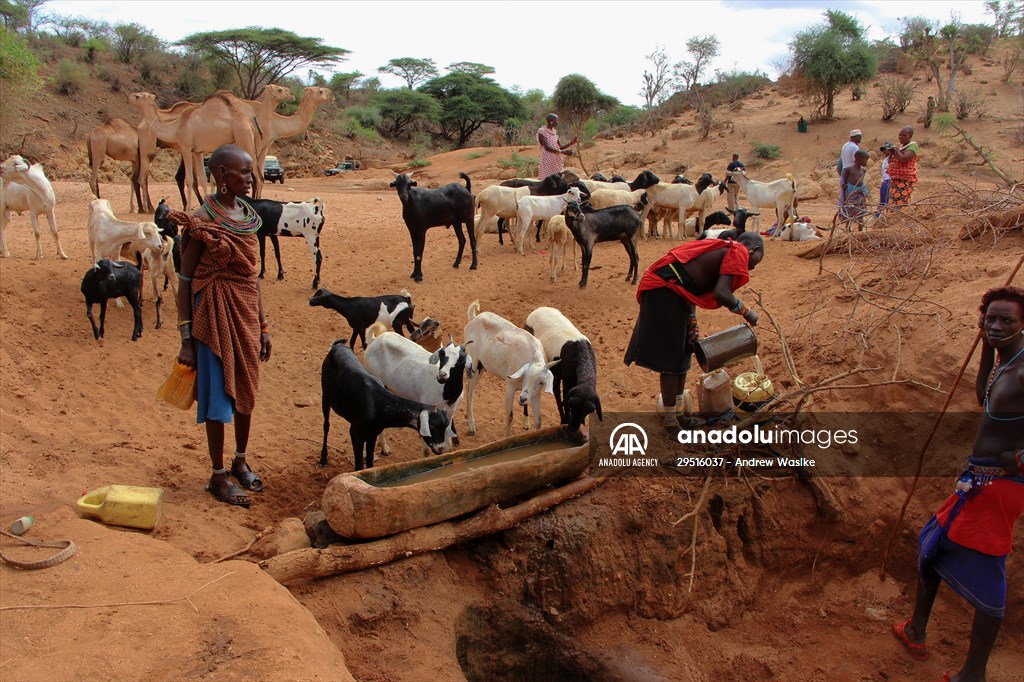 Drought worsens in Kenya amid insufficient rain
