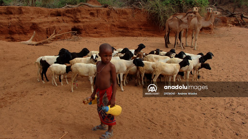 Drought worsens in Kenya amid insufficient rain