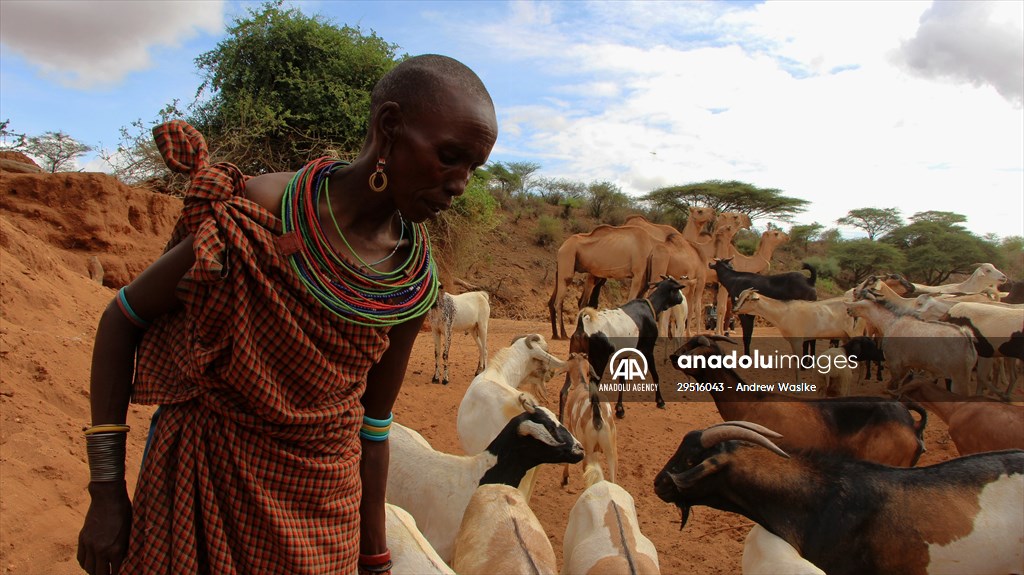 Drought worsens in Kenya amid insufficient rain