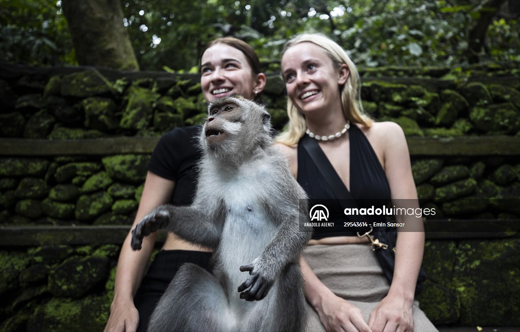 Sacred Monkey Forest Sanctuary hosts visitors in Indonesia's Bali