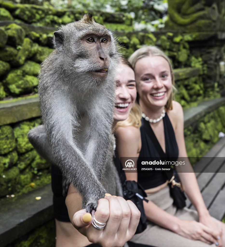 Sacred Monkey Forest Sanctuary hosts visitors in Indonesia's Bali