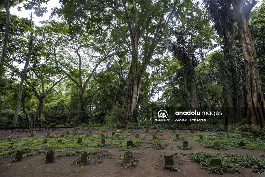 Sacred Monkey Forest Sanctuary hosts visitors in Indonesia's Bali