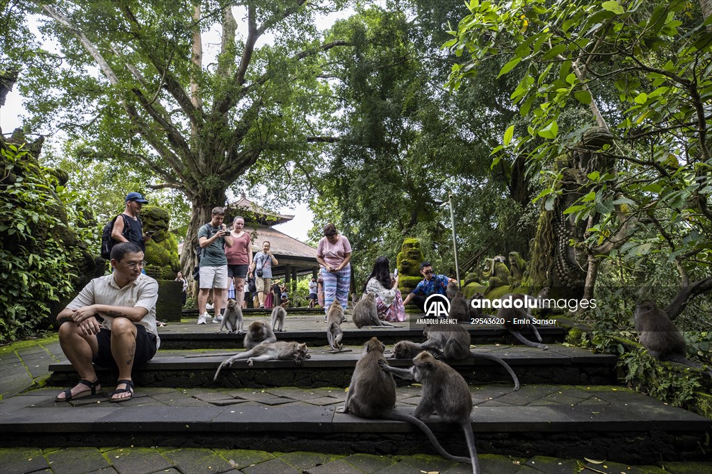 Sacred Monkey Forest Sanctuary hosts visitors in Indonesia's Bali