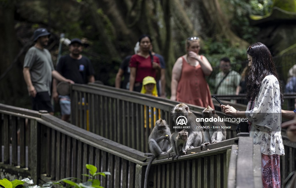 Sacred Monkey Forest Sanctuary hosts visitors in Indonesia's Bali