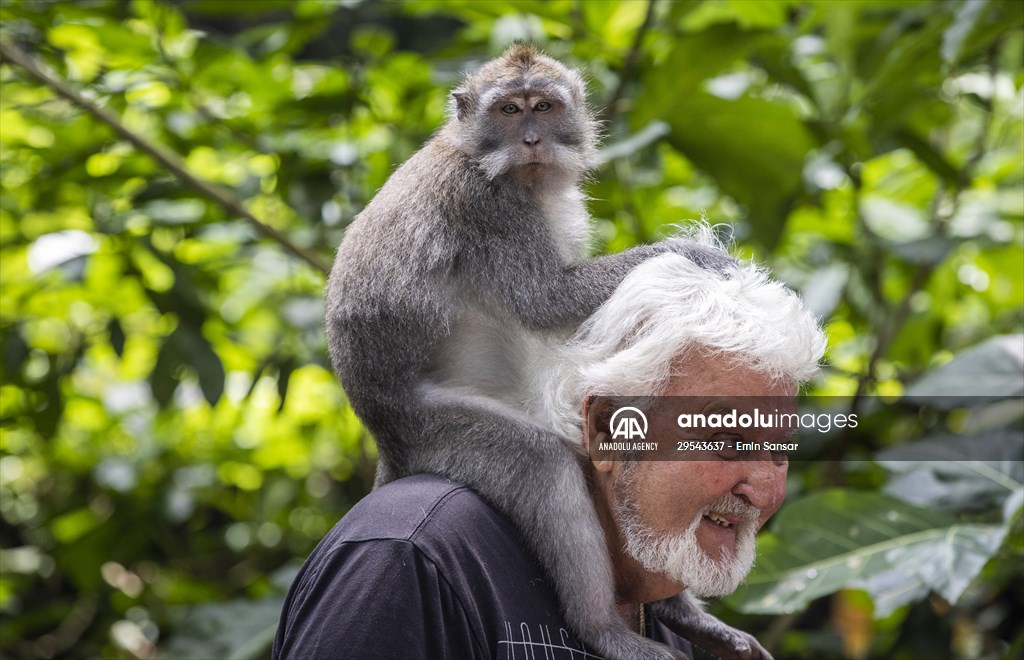 Sacred Monkey Forest Sanctuary hosts visitors in Indonesia's Bali