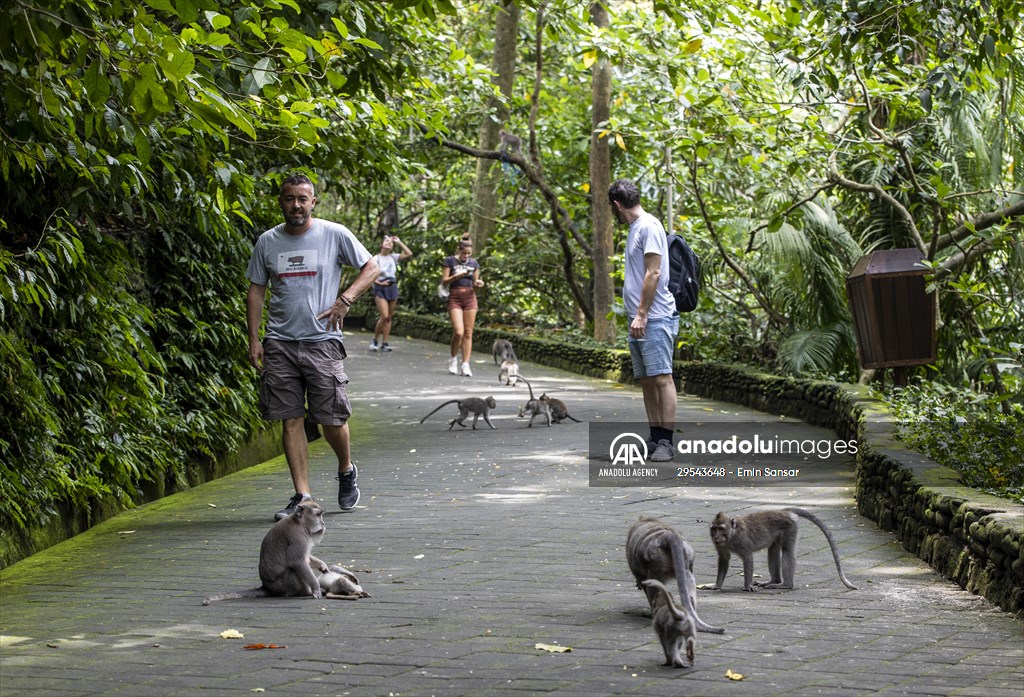 Sacred Monkey Forest Sanctuary hosts visitors in Indonesia's Bali