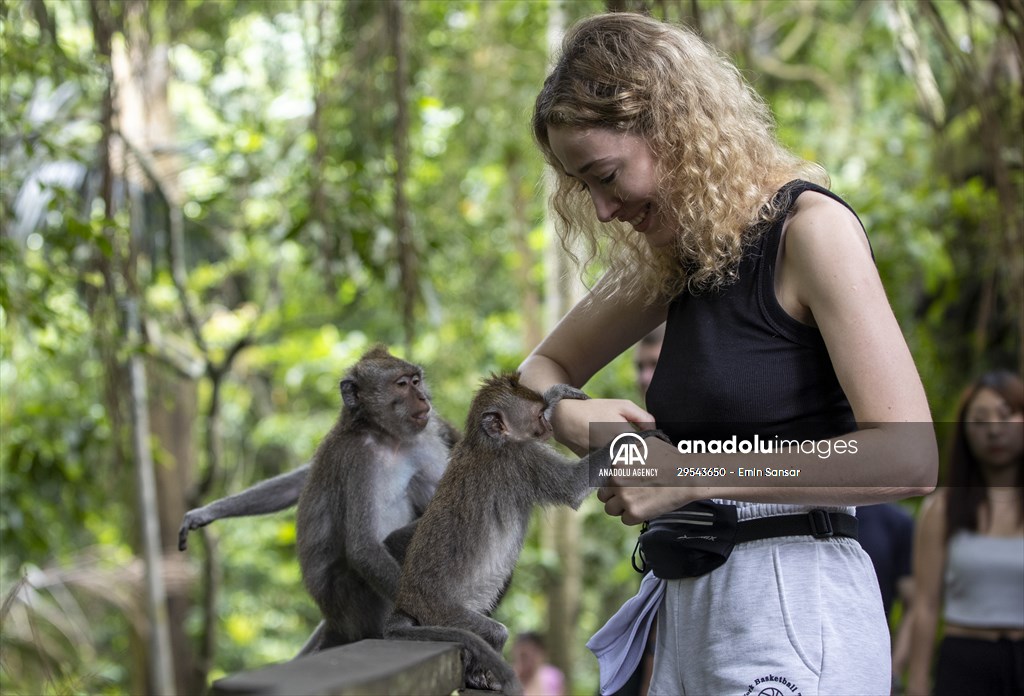 Sacred Monkey Forest Sanctuary hosts visitors in Indonesia's Bali