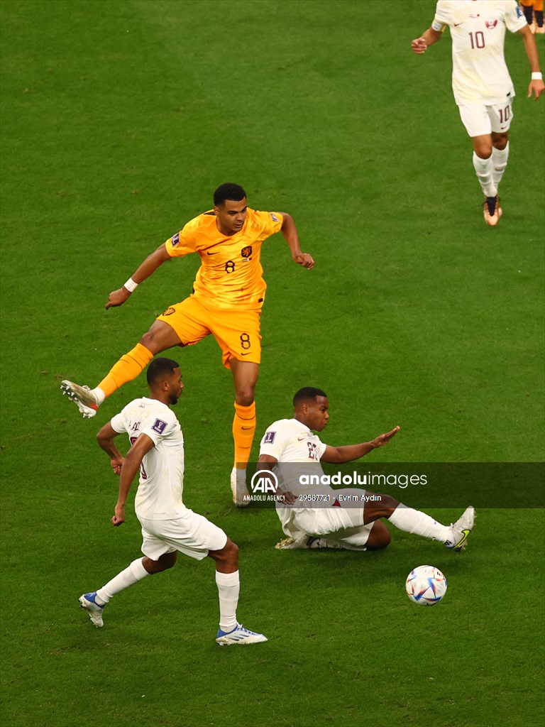 Netherlands v Qatar: FIFA World Cup Qatar 2022