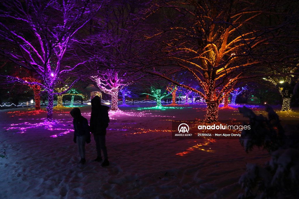 VanDusen Festival of Lights 2022