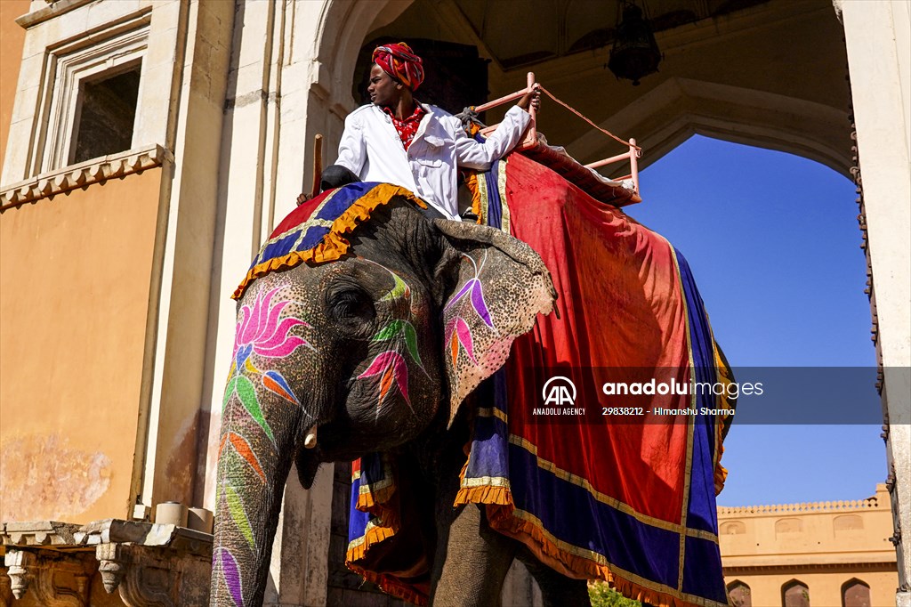 UNESCO World Heritage Site: Historical Amber Fort in India's Jaipur