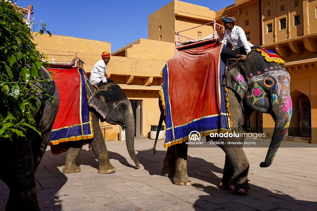 UNESCO World Heritage Site: Historical Amber Fort in India's Jaipur