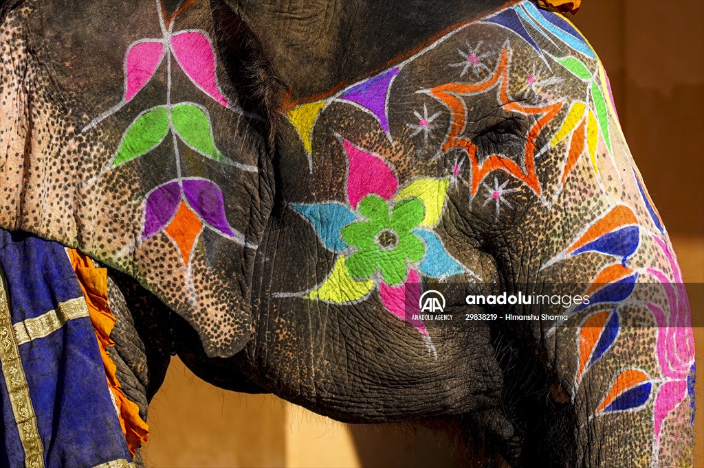 UNESCO World Heritage Site: Historical Amber Fort in India's Jaipur