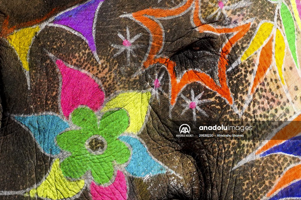 UNESCO World Heritage Site: Historical Amber Fort in India's Jaipur