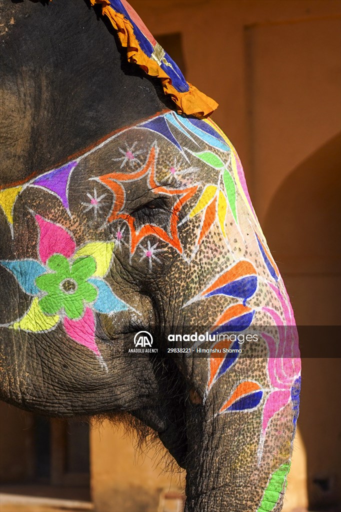 UNESCO World Heritage Site: Historical Amber Fort in India's Jaipur