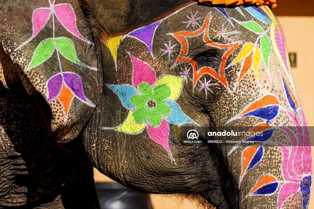 UNESCO World Heritage Site: Historical Amber Fort in India's Jaipur