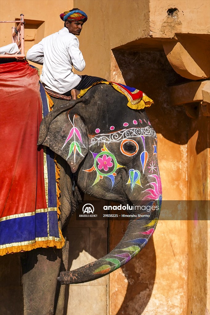 UNESCO World Heritage Site: Historical Amber Fort in India's Jaipur