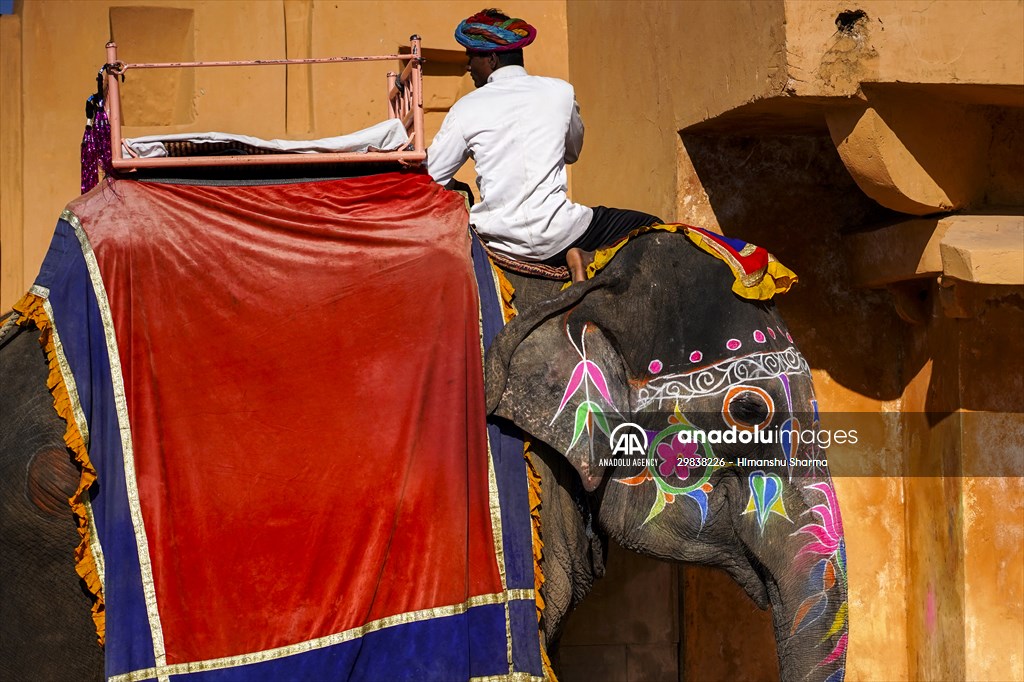 UNESCO World Heritage Site: Historical Amber Fort in India's Jaipur