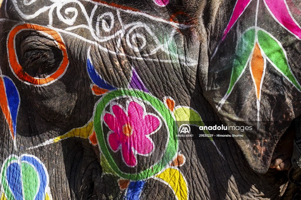 UNESCO World Heritage Site: Historical Amber Fort in India's Jaipur