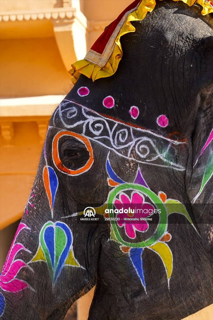 UNESCO World Heritage Site: Historical Amber Fort in India's Jaipur