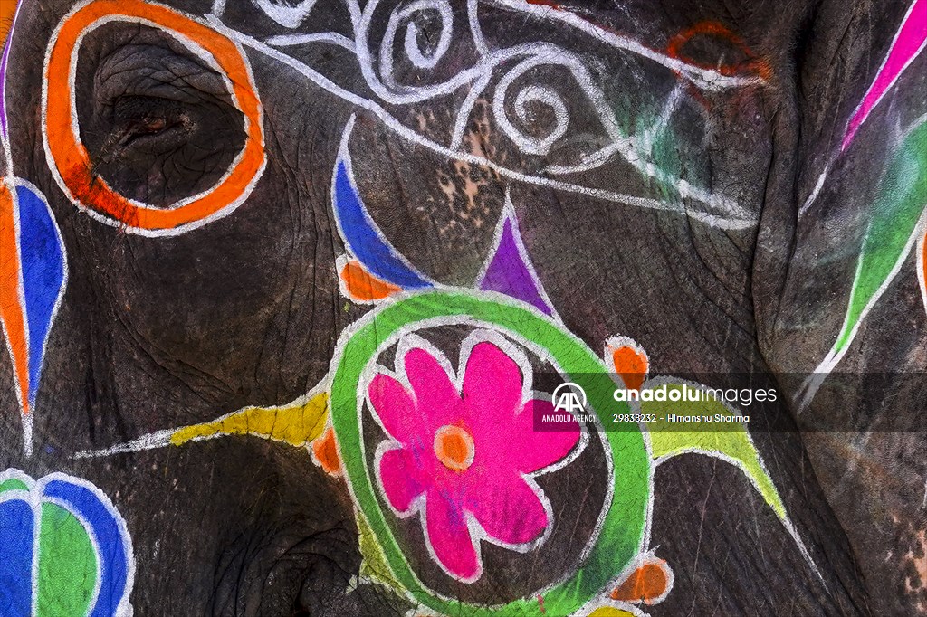 UNESCO World Heritage Site: Historical Amber Fort in India's Jaipur