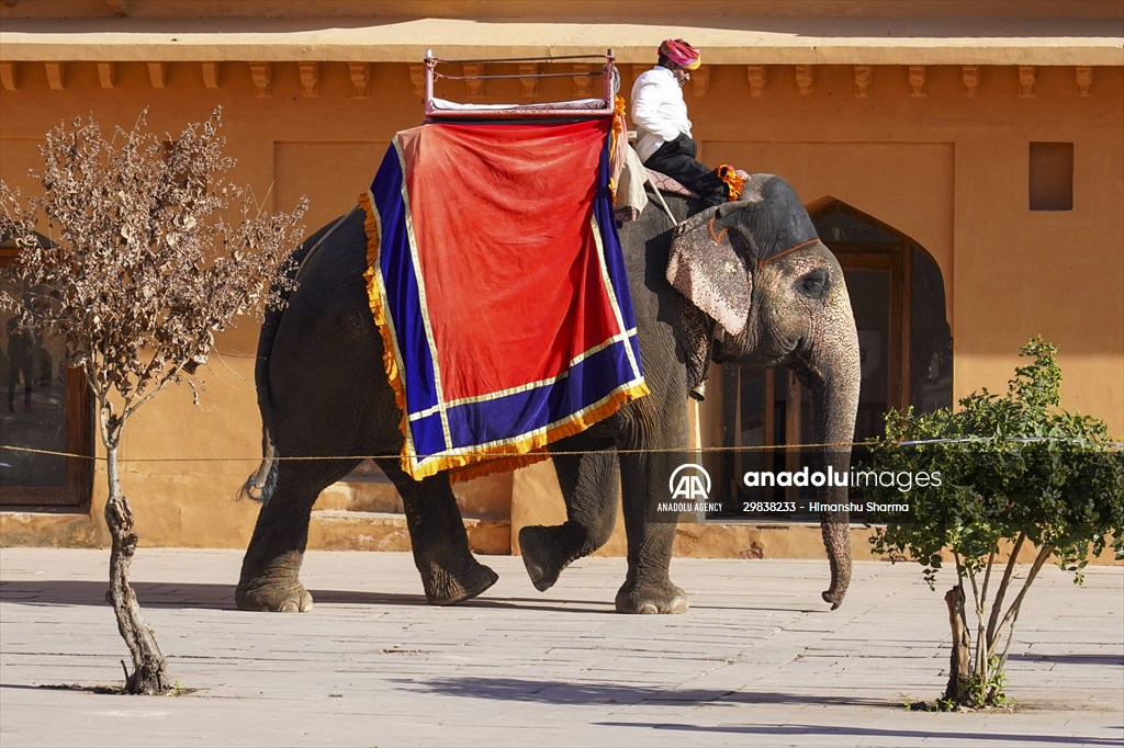UNESCO World Heritage Site: Historical Amber Fort in India's Jaipur