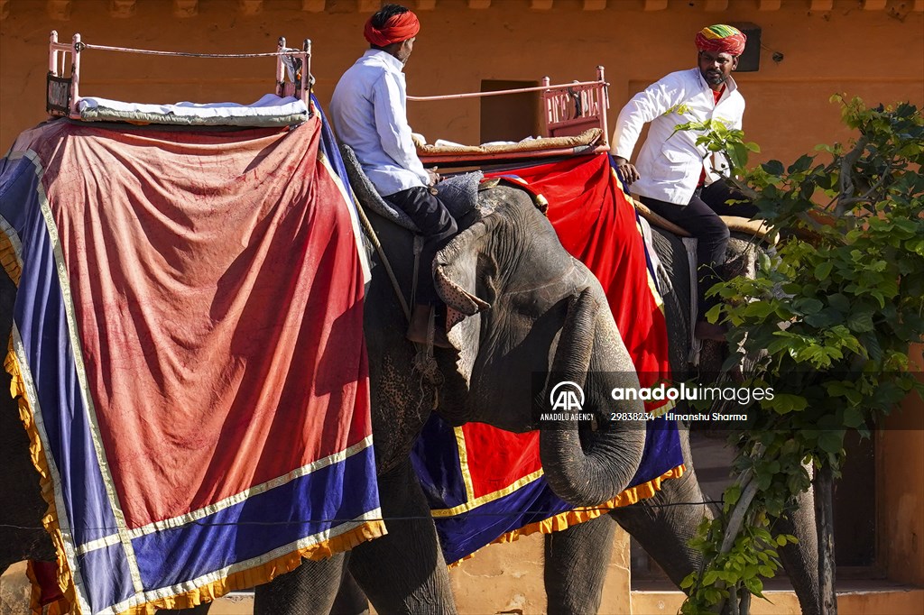 UNESCO World Heritage Site: Historical Amber Fort in India's Jaipur