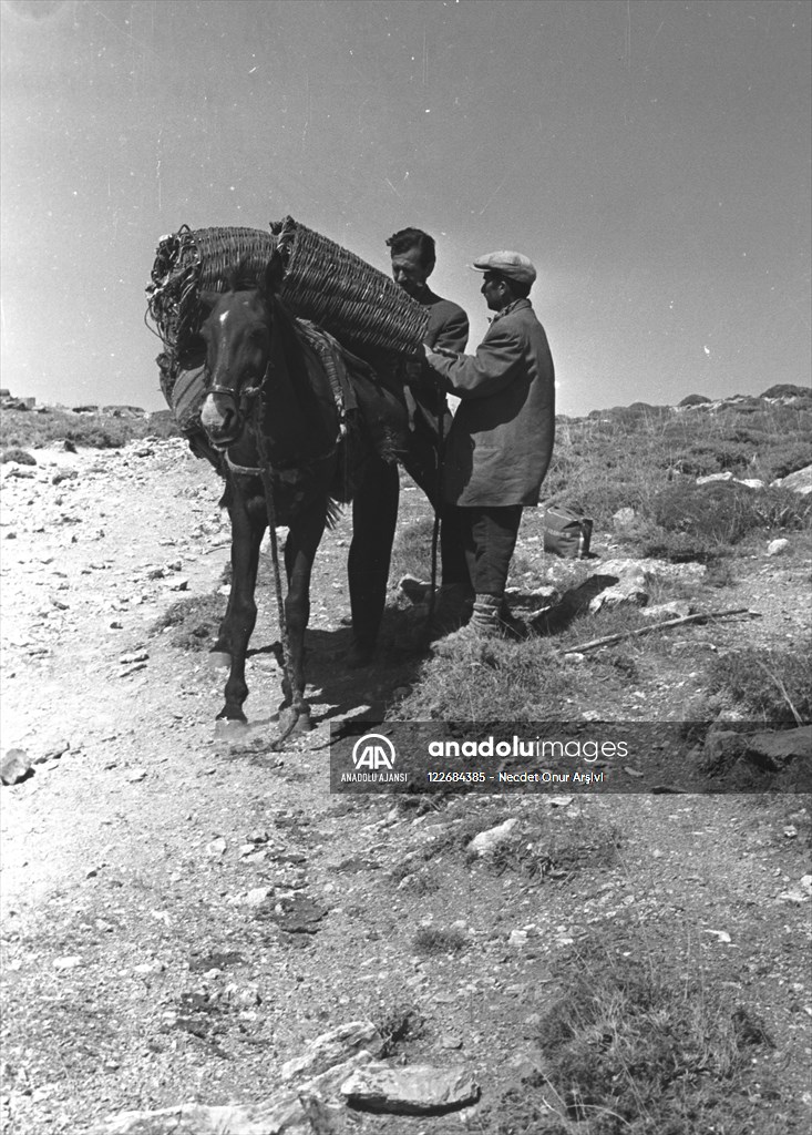Güneydoğu'dan insan manzaraları