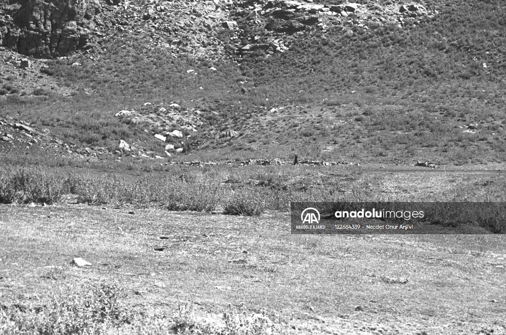 Güneydoğu'dan insan manzaraları