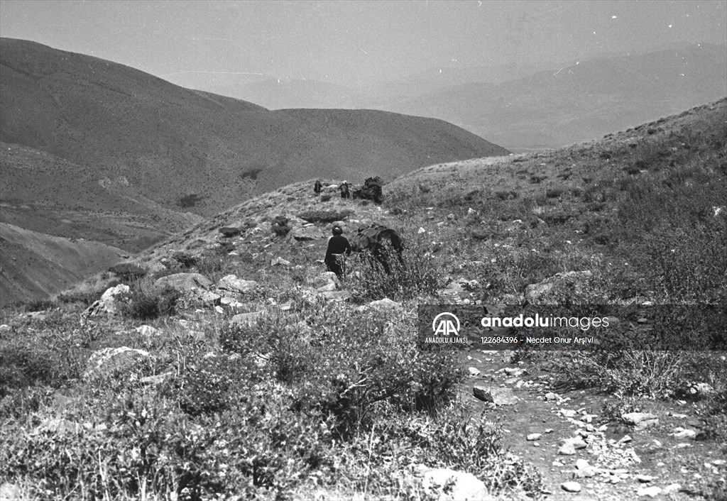 Güneydoğu'dan insan manzaraları