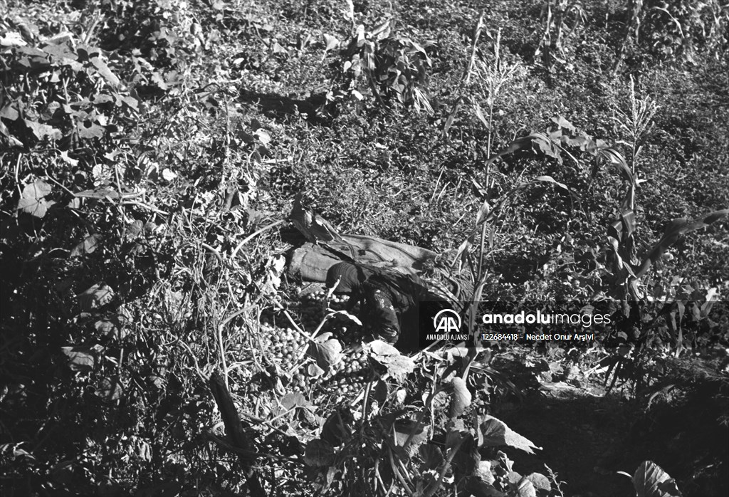 Güneydoğu'dan insan manzaraları