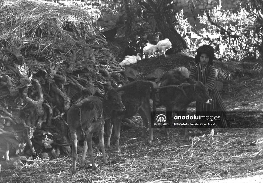 Güneydoğu'dan insan manzaraları