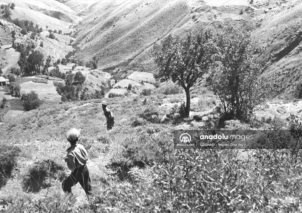 Güneydoğu'dan insan manzaraları