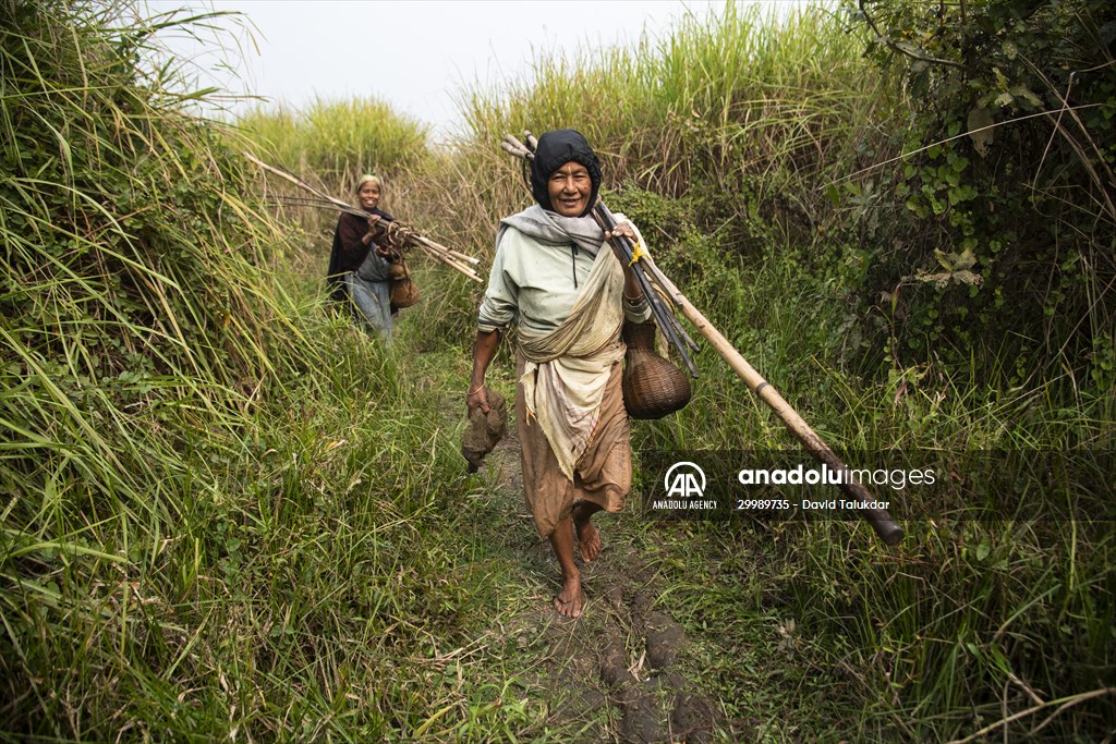 Magh Bihu Festival celebrated in India
