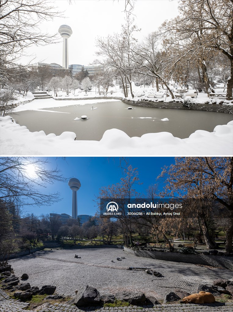 Soğuk ve kar yağışıyla ünlü Ankara’da son yılların en kurak kışı yaşanıyor