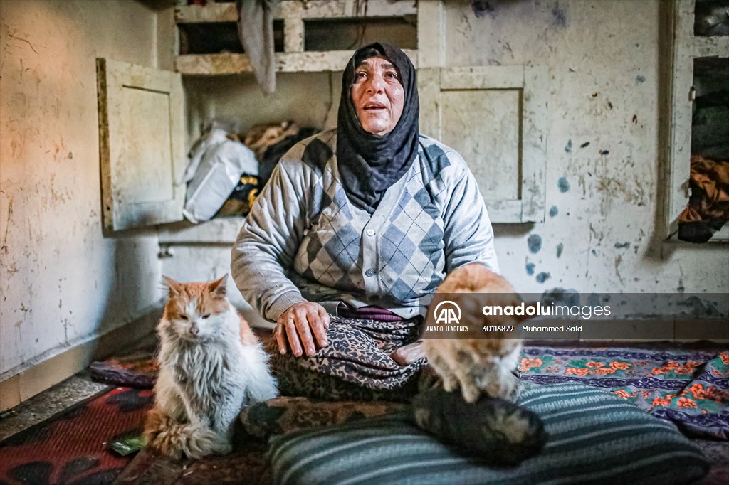 Syrian woman takes care of her cats despite difficult conditions in Idlib